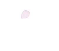 odbudowa zębow - stomatolog weterynaryjny Warszawa